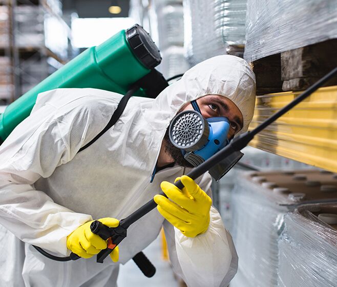pest cleaning services